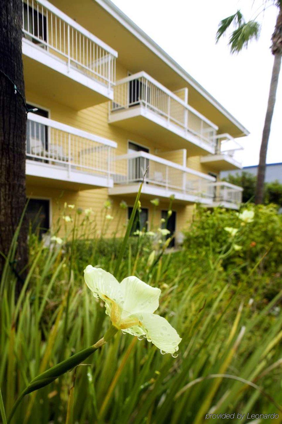 Four Points By Sheraton San Diego - Sea World Pokoj fotografie